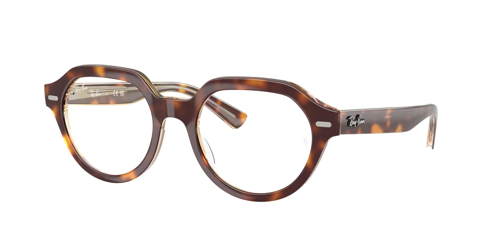 Ray-Ban Gina 7214 Eyeglasses - view 7